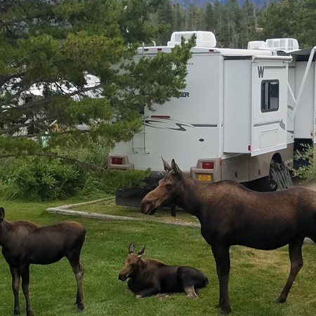 Grand Lake / Rocky Mountain National Park KOA Journey