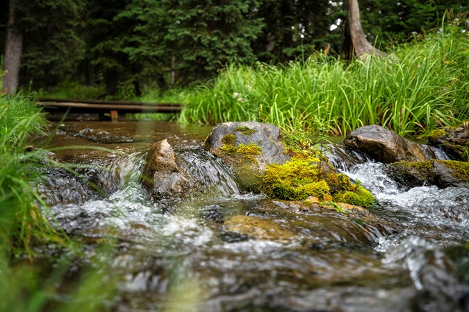 Yellowstone Park / Mountainside KOA Journey