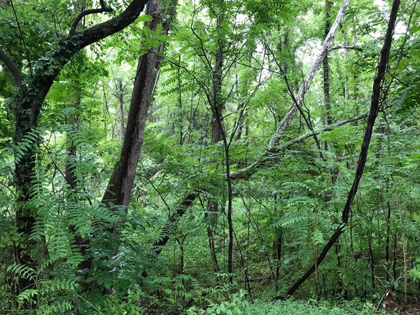 Harrisonburg / Shenandoah Valley KOA Holiday