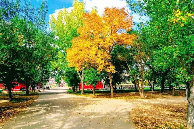 Drumheller / Dinosaur Trail KOA Holiday