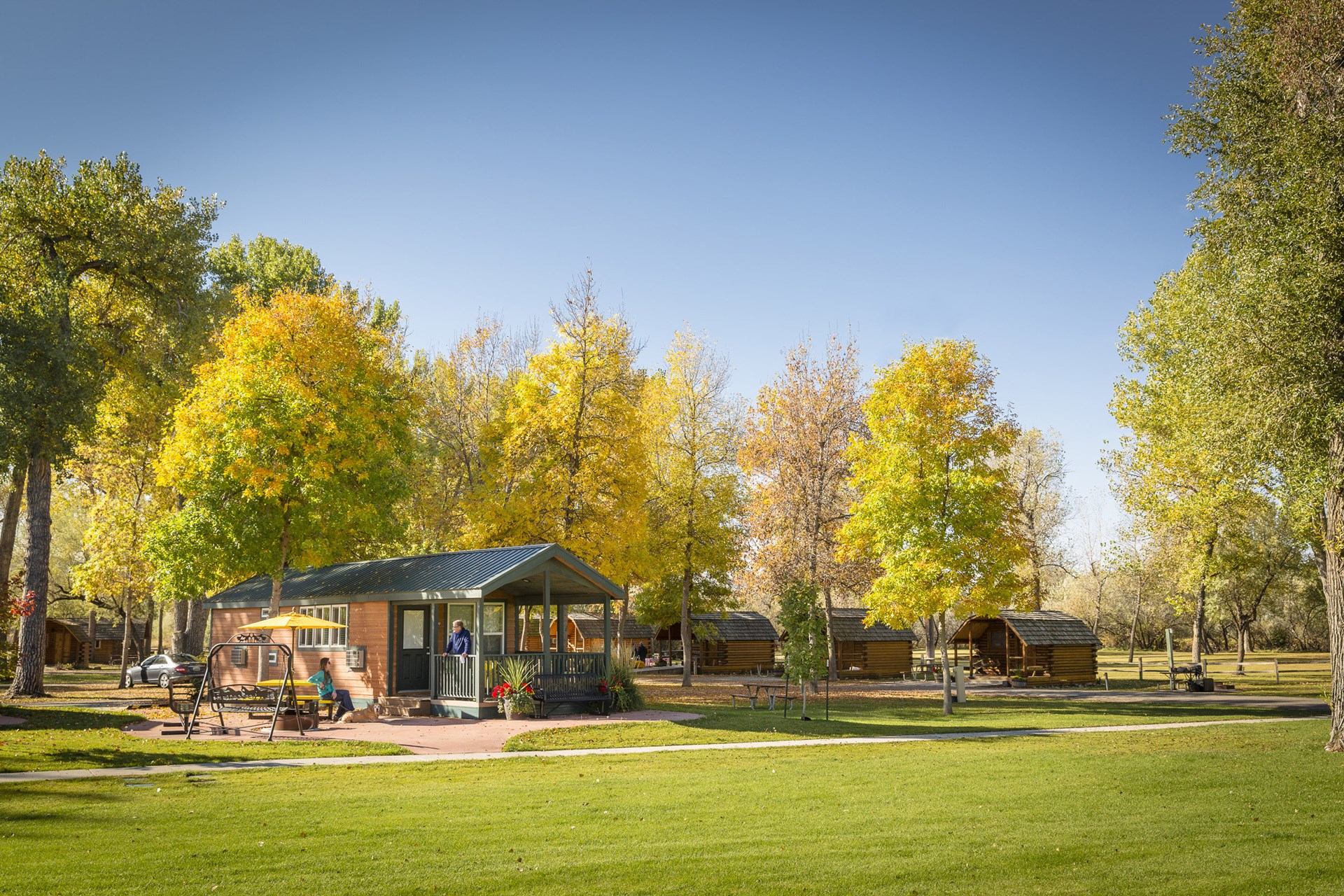 cabin on a sunny day