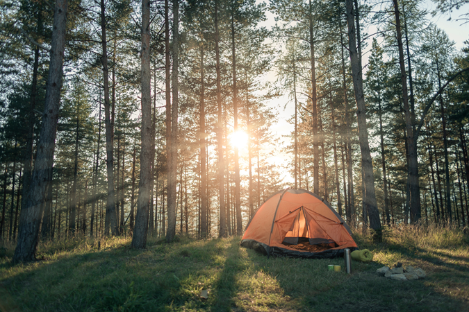 Webster / Douglas Forest KOA Journey